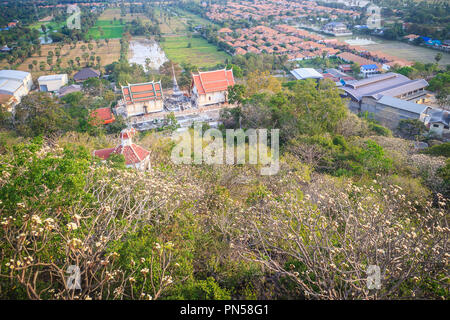 Wald von Plumeria flower Bäume auf dem Berg am Wat Khao Bandai, Phetchaburi, Thailand. Stockfoto