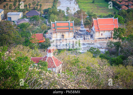 Wald von Plumeria flower Bäume auf dem Berg am Wat Khao Bandai, Phetchaburi, Thailand. Stockfoto