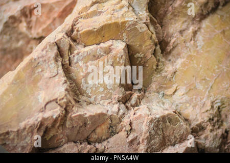 Dolomitgestein Muster von Bergbau und Gewinnung von Steinen und Erden Industrie. Dolomit ist ein wasserfreies Natriumcarbonat Mineral aus Kalzium Magnesium Carbonat, ideal Stockfoto