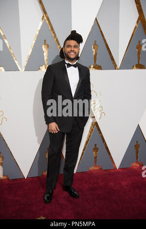 Performer, die Weeknd kommt an Die 88 Oscars® auf der Dolby® Theater in Hollywood, CA am Sonntag, dem 28. Februar, 2016. Datei Referenz # 32854 278 THA nur für redaktionelle Verwendung - Alle Rechte vorbehalten Stockfoto