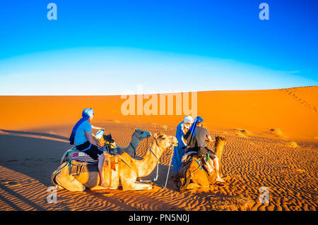 Personen, Kamel Trekking in der Wüste von Marokko neben M'hamid Stockfoto