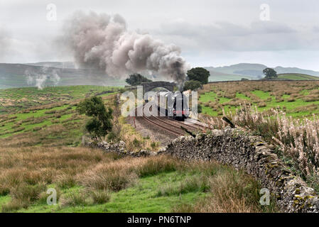 Horton-in-Ribblesdale, UK. "Die Pendle Dalesman' Dampf spezielle klettert die steile Steigung bis Ribblesdale auf dem Weg nach Carlisle. Der Zug ist hier in der Nähe von Horton-in-Ribblesdale, in den Yorkshire Dales National Park. Die exkursion begann in Wolverhampton und wurde Dampf über der Settle-Carlisle Railway Line geschleppt. Quelle: John Bentley/Alamy leben Nachrichten Stockfoto