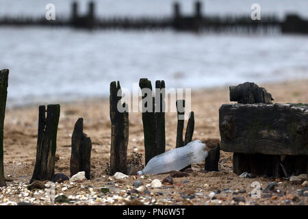 Heacham, UK. 20 Seprtember 2018. Eine Plastikflasche gewaschen am Strand liegt neben einem See Defense groyne, Heacham, Norfolk, am 20. September 2018. Credit: Paul Marriott/Alamy leben Nachrichten Stockfoto