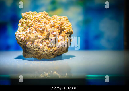 Raw Muster wulfenit Stein von Bergbau und Gewinnung von Steinen und Erden Industrie. Wulfenit ist ein bleimolybdat Mineral mit der Formel PbMoO 4. Stockfoto