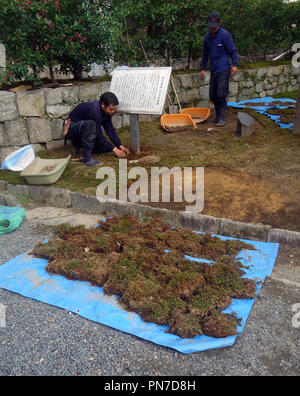 Moss gardening, Gion, Kyoto, Japan. Keine MR oder PR Stockfoto