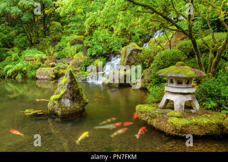 Portland Japanischer Garten Teich mit Koi Karpfen Stockfoto