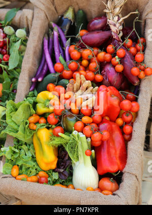 Organische sehr frisches Gemüse für den Verkauf am lokalen Markt Stockfoto