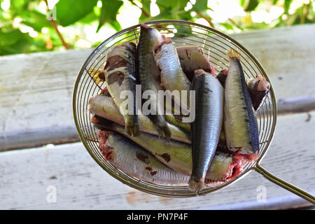 Frische rohe Sardinen für den Grill/Raw frischen Fisch/Mittelmeer Essen zubereitet Stockfoto