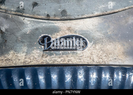 Daimler Motorhaube Abzeichen Stockfoto