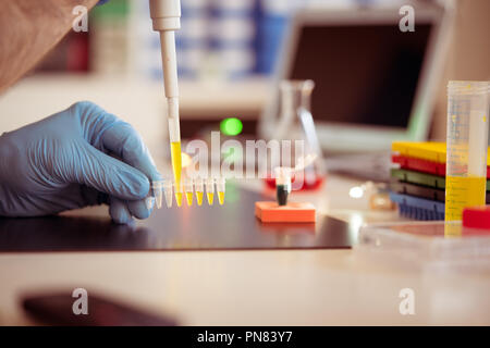 PCR-Streifen in der genetischen Labor Stockfoto