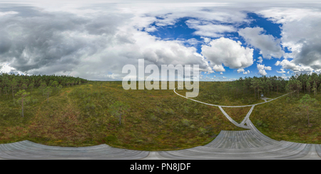 360 Grad Panorama Ansicht von Estland - Soomaa Nationalpark 5 - Luftbild vom Aussichtsturm