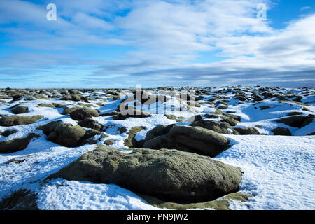 Vulkanischer lava Mounds Feld wie Mondlandschaft zwischen Vik und Kirkjubaejarklaustur von Katla Vulkan im Süden Islands in der Nähe Stockfoto