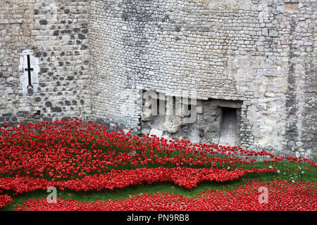 London England - 08.November 2014: Keramik Mohn in einem Art Installation bekannt als Blood-Swept Länder und Meere der Roten auch den Fluss des Blutes bekannt Stockfoto