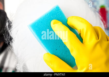 Person, Aufgaben im Bad zu Hause Reinigung Spiegel mit Reinigungsmittel und Schwamm Stockfoto