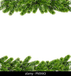 Weihnachten Hintergrund mit grünen Pinien Filialen. Vektor Stock Vektor