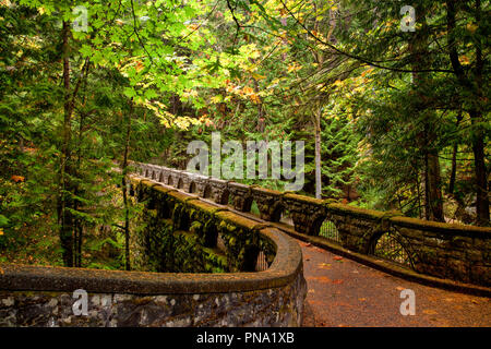 Moosige stone bridge Trail durch den üppigen Wald in Bellingham, WA Stockfoto