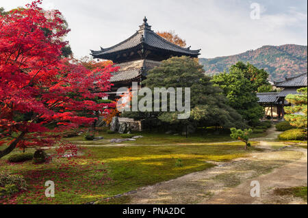 Herbst Farbe in Arashiyama, Kyoto, Japan. Die Gärten von Rokuo-in, ein Zen Tempel in 1380 gebaut Stockfoto