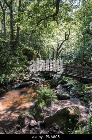 Junger Mann und Frau Kreuzung Holzbrücke über Burbage Bach wie es läuft durch Padley Schlucht, der Nationalpark Peak District, Derbyshire, Großbritannien Stockfoto