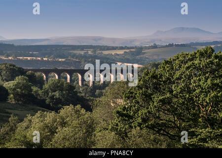 Bahn Viadukt auf der Zentralen Wales Linie in der Nähe von Dorf Cynghordy, Llandovery, Carmarthenshire, Wales UK Stockfoto