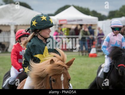 Cheshire Country Fair 2018 - Shetland Pony Racing Stockfoto