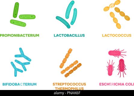 Probiotika. Einstellen der guten Bakterien und Mikroorganismen Konzept auf weißem Hintergrund. Propionibacterium, Lactobacillus, lactococcus, Bifidobacterium, Streptococcus thermophilus, Escherichia coli Stock Vektor