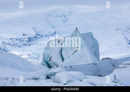 Gletscherlagune Jokulsarlon von Vatnajökull National Park. Eisberge von Breioamerkurjokull Gletscher, Teil des Vatnajökull Gletscher im Südosten von Island Stockfoto