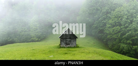 Allein Hütte im Wald Stockfoto