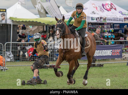 Cheshire Spiel & Country Fair 2018 - Pferdepension Stockfoto