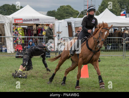 Cheshire Spiel & Country Fair 2018 - Pferdepension Stockfoto