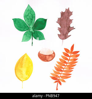 Aquarell Abbildung: Herbstliche Blätter und Kastanien handgefertigte Stockfoto