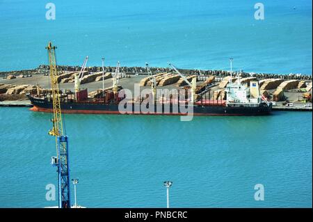 Bulk Carrier Gloria Galaxy Anker im Hafen von Napier, Neuseeland Stockfoto