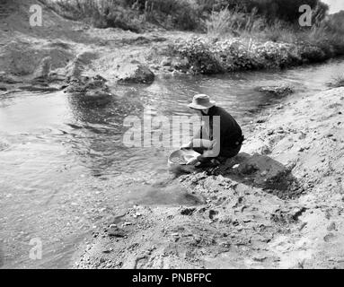 1900s MANN PROSPECTOR GOLDWASCHEN IM STREAM - Ap 010254 CAM001 HARS ABENTEUER DISCOVERY PROSPECTOR LUCKY CAM 001 BERGBAU BERUFE GOLD RUSH PANNING SUCHEN GOLD MINE MITTE ERWACHSENEN MANN FILM NOCH IMMER KUNDENAKQUISE SCHWARZ UND WEISS KAUKASISCHEN ETHNIE CREEK ALTMODISCHE ALTMODISCHE Stockfoto