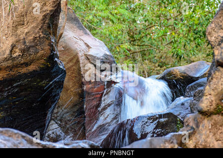 Kleine Kaskade mit klaren und sauberen Gewässern durch die Felsen in den Bergen von Minas Gerais läuft Stockfoto