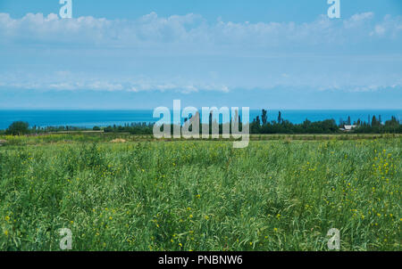 Schönen südlichen Ufer des Issyk-Kul See im Sommer Tag, Kirgisistan. Stockfoto