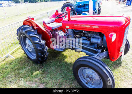 Die Massey Ferguson 35 35 x MF35 ist ein Traktor von Massey Ferguson, Vintage, antike, Traktor, Traktoren, Traktor von Massey Ferguson Massey Stockfoto