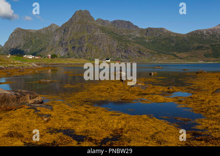 Fahrt auf der E10 nach Süden auf den Lofoten Stockfoto