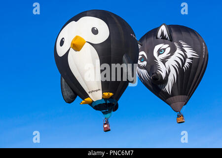 Longleat pinguin Heißluftballon und Wes der Wolf Heißluftballon am Himmel in Longleat Sky Safari, Wiltshire, UK im September Stockfoto