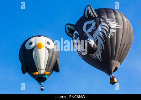 Longleat pinguin Heißluftballon und Wes der Wolf Heißluftballon am Himmel in Longleat Sky Safari, Wiltshire, UK im September Stockfoto