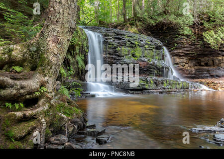 Rock River Falls ist ein Wasserfall tief im Wald in der Nähe von Munising und Chatham Michigan. Stockfoto