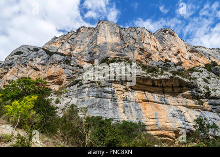 Vertikale Kalkstein aus dem Sentier Martel in den Gorges du Verdon Verdon Schlucht / Canyon, Provence-Alpes-Côte d'Azur, Frankreich Stockfoto