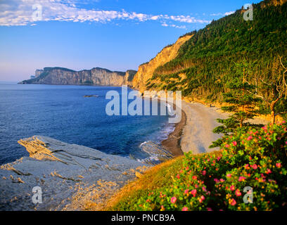 Nordamerika, Kanada, Quebec, Gaspe Halbinsel, Forillon National Park, cap-bon-Ami, Appalachian Berge Stockfoto