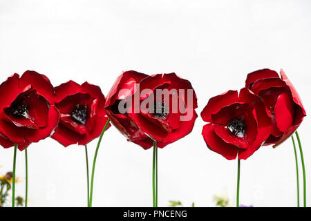 Linie der roten Metall geformt Mohn gegen eine weiße Wand an der RHS Wisley Flower Show 2018. RHS Wisley Gardens, Surrey, Großbritannien Stockfoto