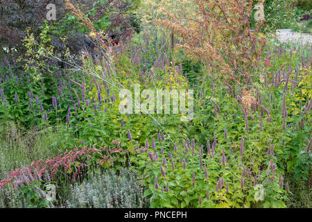 Kräutergarten Grenze bei RHS Wisley Gardens im September. RHS Wisley, Surrey, Großbritannien Stockfoto