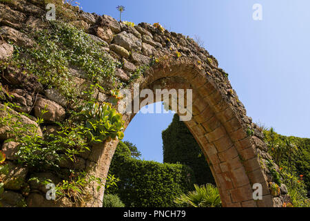 Die alte Abtei, Tresco Abbey Garten, Tresco, Isles of Scilly, Großbritannien Stockfoto