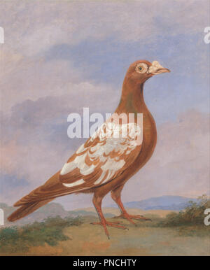 Red-Pied-Träger. Datum/Zeitraum: 1837. Malerei. Öl auf Leinwand. Höhe: 359 mm (14.13 in); Breite: 305 mm (12 in). Autor: Dean Wolstenholme. Stockfoto