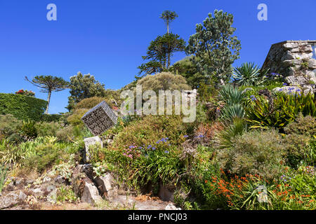 Der Westen Steingarten, Tresco Abbey Garten, Scilly-inseln, Großbritannien Stockfoto