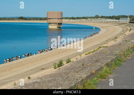 Arlington Stausee wandern, East Sussex, Großbritannien Stockfoto