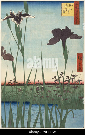 Horikiri Iris Garten (Horikiri keine hanashobu), aus der Serie 100 berühmten Ansichten von Edo (Meisho Edo hyakkei). Datum/Zeitraum: 1857 (4), intercalary Ansei 5. Monat. Drucken. Holzschnitt (nishiki-e); Tinte und Farbe auf Papier. Autor: Utagawa Hiroshige I, herausgegeben von Uoya Eikichi. Utagawa Hiroshige. Stockfoto