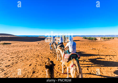 Blick auf Kamel Trek in der Wüste von Marokko neben M'hamid Stockfoto