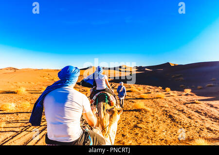 Blick auf Kamel Trek in der Wüste von Marokko neben M'hamid Stockfoto